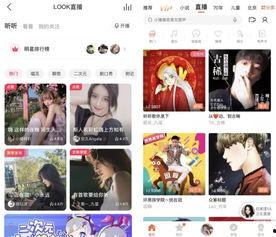 头条直播怎么录制声音,轻松实现声音录制与直播同步