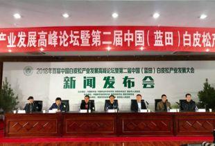 2018年蓝田新闻头条,聚焦年度焦点