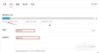 用头条视频怎么上传,头条视频上传与生成概述文章副标题教程