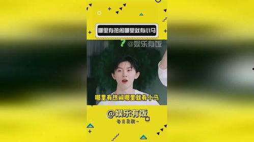 vip吃瓜哥,娱乐圈幕后风云大揭秘