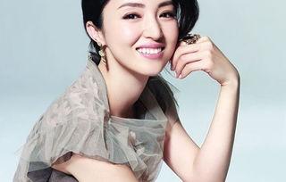 属狗的明星,属狗明星风采大盘点