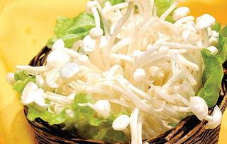 金针菇今日爆料最新视频,幕后故事与精彩瞬间