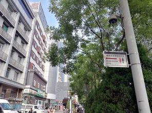 太原头条杏花岭下载,尽享本地资讯新体验