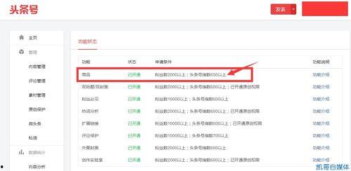 个人开通头条号的条件是