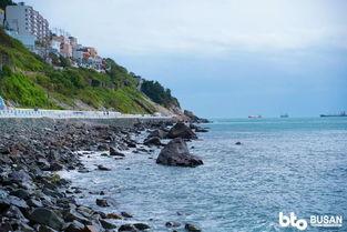 汕尾网红打卡点贝壳岛,网红打卡点的魅力之旅”