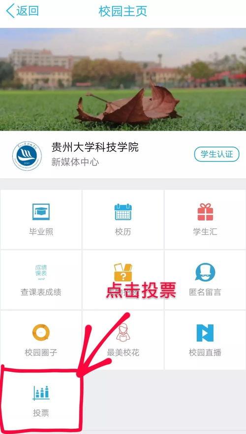 每日推文大赛,精彩瞬间集锦