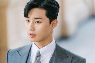 熊姓 明星,璀璨星河中的璀璨明珠