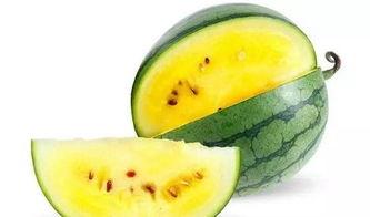 临沂最大的吃瓜