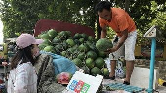 山东济宁吃瓜事件