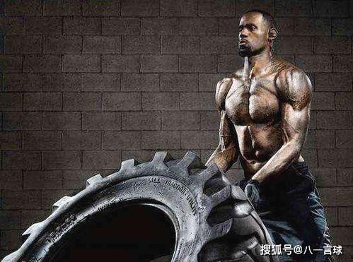 章鱼手掌肌肉明星