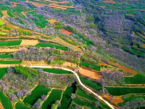 泗县草沟 网红打卡