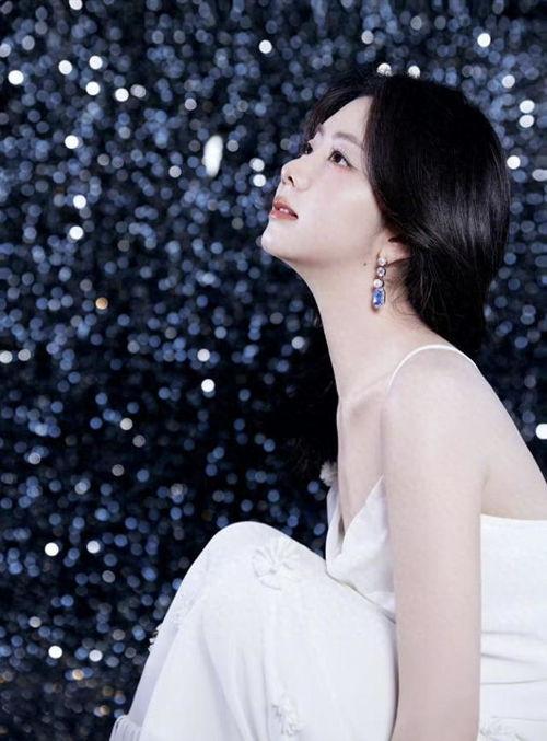 璀璨明星,闪耀舞台的璀璨之光