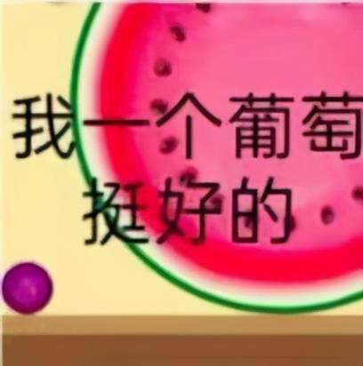 只吃瓜不吵架,只吃瓜不吵架的趣味生活