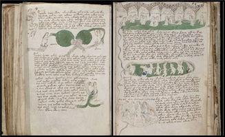 秘密手稿在线观看,在线观看背后的秘密世界