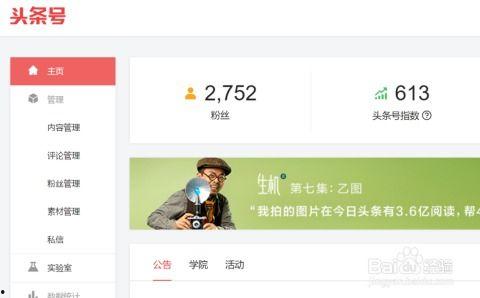 头条如何推销,如何巧妙运用标题吸引眼球