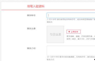 如何搜头条账号,如何高效搜索并关注头条优质账号