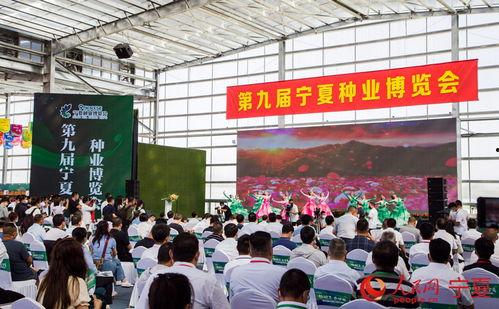 平罗县小店子新闻头条,聚焦乡村振兴新篇章